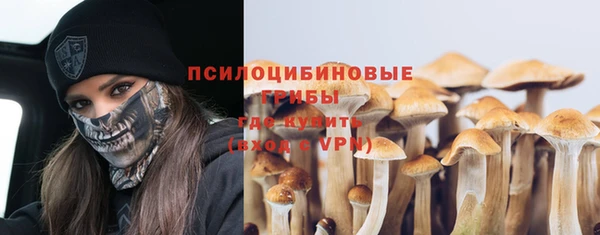 ГАЛЛЮЦИНОГЕННЫЕ ГРИБЫ Абдулино