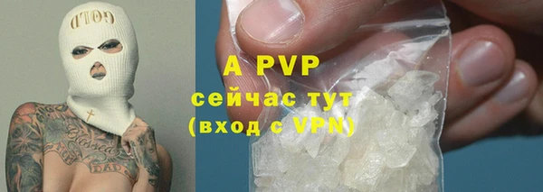 мяу мяу мука Абаза