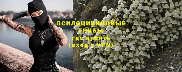 прущие грибы Абинск