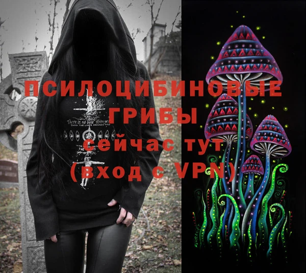 прущие грибы Абинск