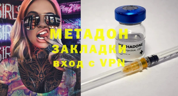 прущие грибы Абинск