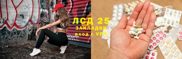 прущие грибы Абинск