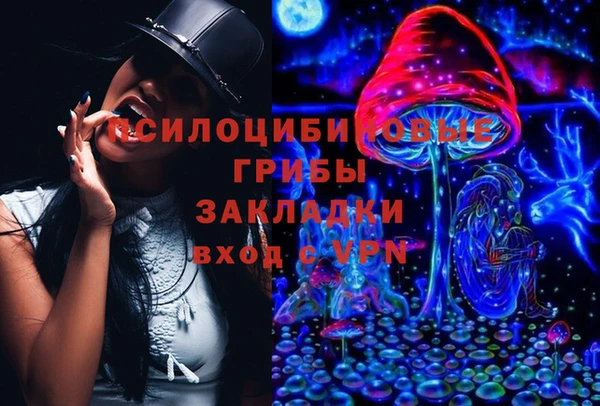 ГАЛЛЮЦИНОГЕННЫЕ ГРИБЫ Абдулино
